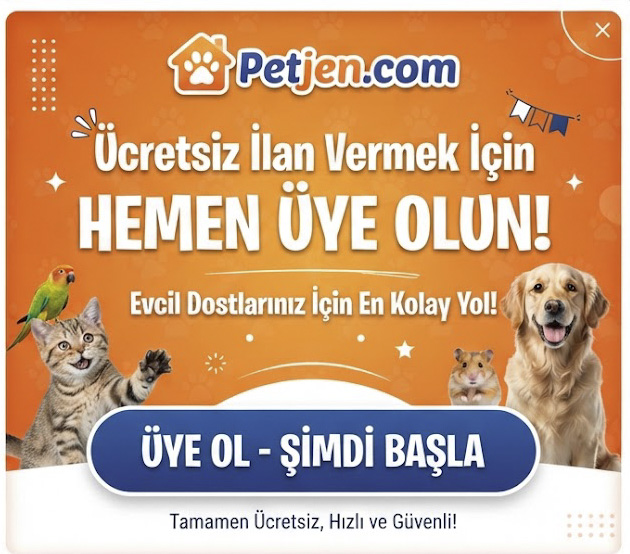 Üyelik
