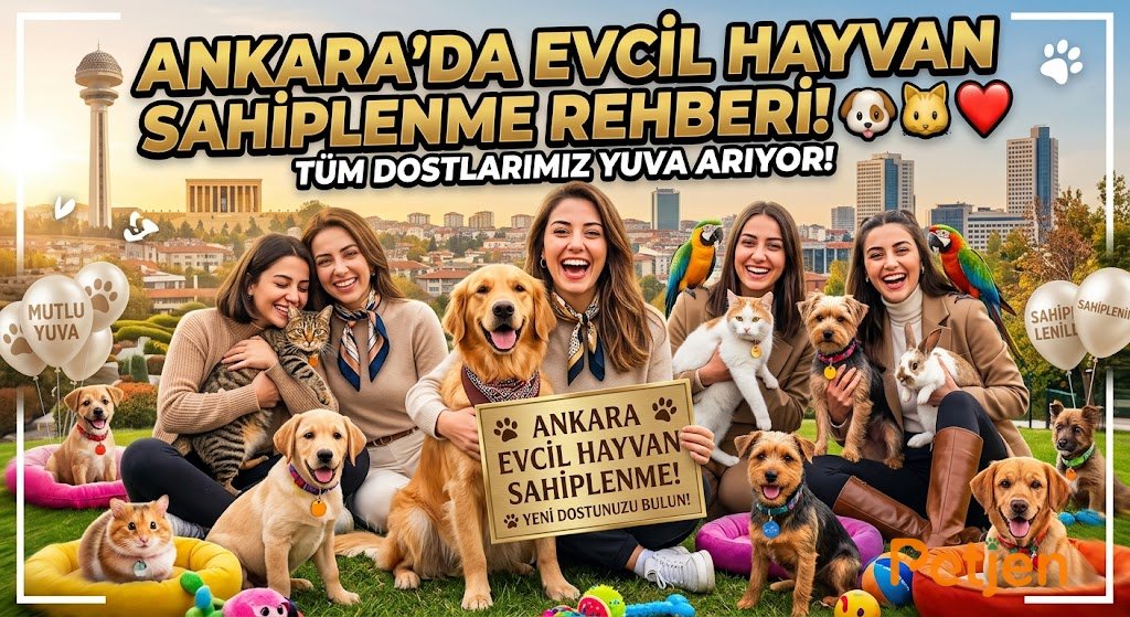 Ankara Evcil Hayvan Sahiplenme Kılavuzu ve İpuçları Ankara Evcil Hayvan Sahiplenme Kılavuzu ve İpuçları