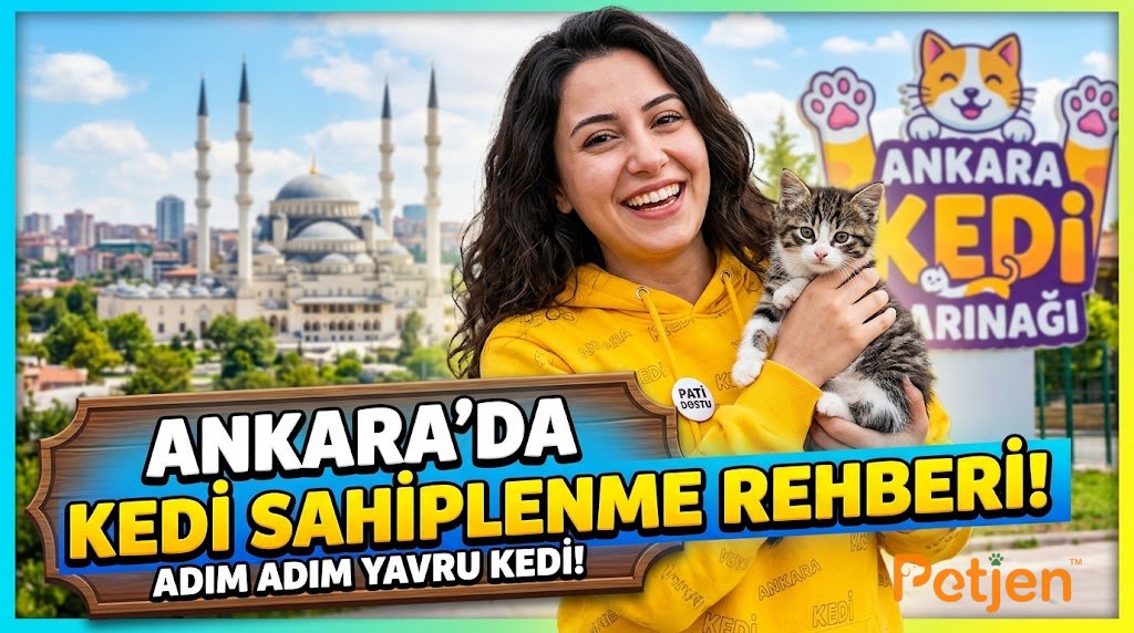 Ankara'da Kedi Sahiplenme Rehberi Ücretsiz İlanlar Ankara'da Kedi Sahiplenme Rehberi Ücretsiz İlanlar