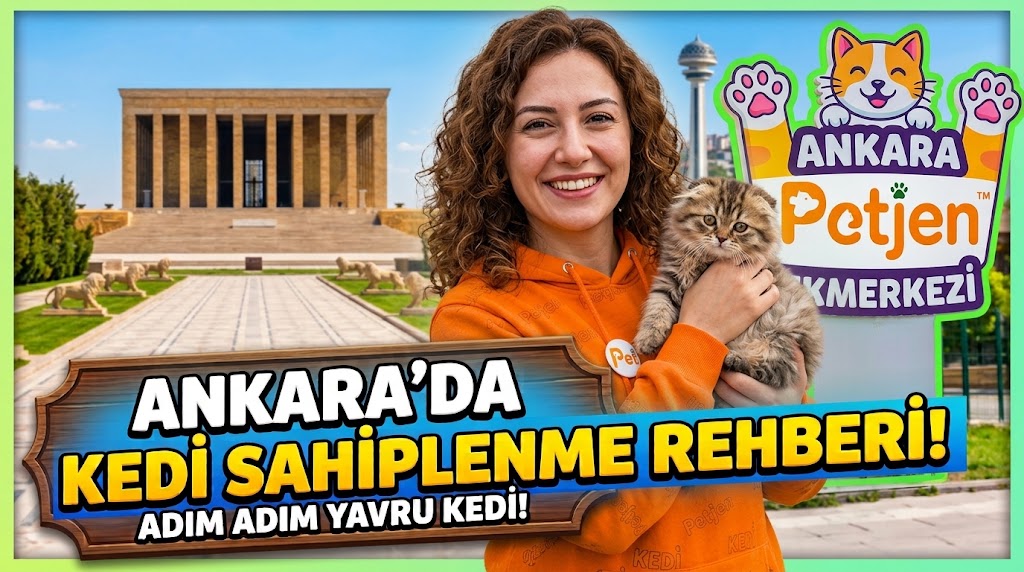 Ankara'da Kedi Sahiplenme Rehberi: Ücretsiz İlanlar ve Veteriner Masrafları