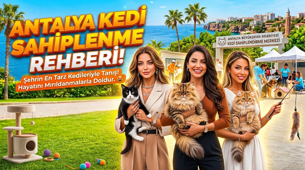 Antalya Hayvan Sahiplenme: Kedi, Köpek ve Kuş Rehberi