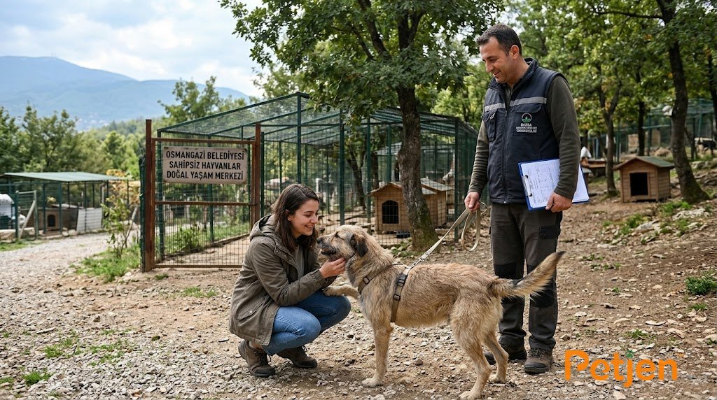 Bursa Köpek Sahiplenme Rehberi Şartlar ve Irklar Bursa Köpek Sahiplenme Rehberi Şartlar ve Irklar