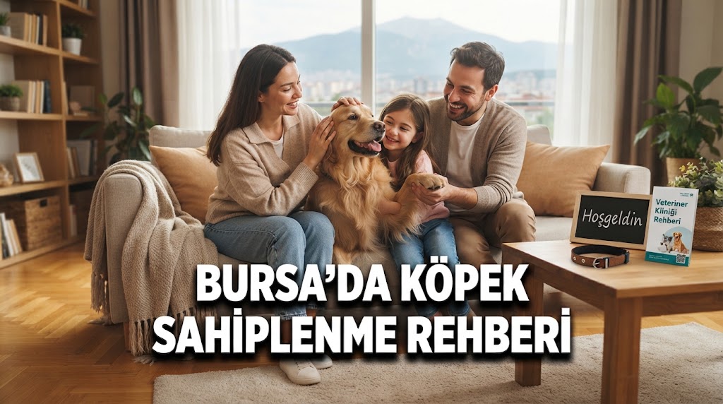 Bursa'da Ücretsiz Köpek Sahiplenme Rehberi Irk Özellikleri