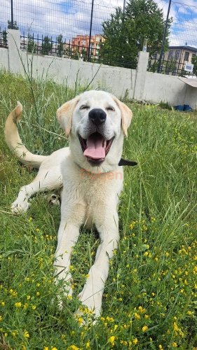Cins Belirtilmedi - BARINAĞA DÜŞMESİ AN MESELESİ - Fotoğraf 2