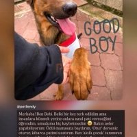 Cins Belirtilmedi - BARINAĞA DÜŞMESİ AN MESELESİ - Fotoğraf 5